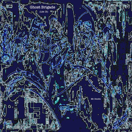 Ghost Brigade (Life 13)