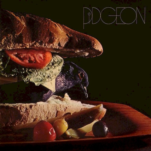 Pidgeon