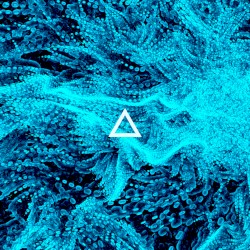 Loomy / New Order