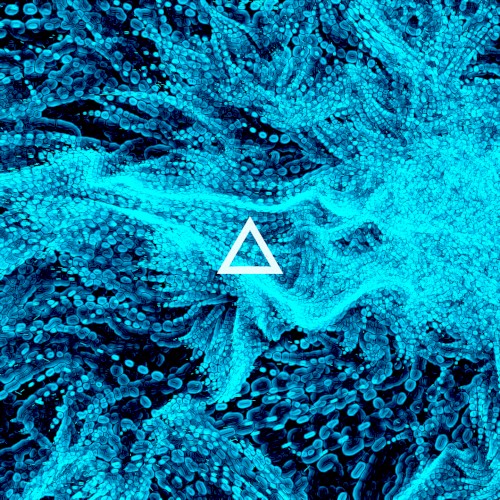 Loomy / New Order