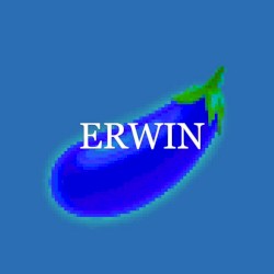 keep riding me (ERWIN REMIX)