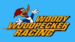 Dirt Stadium - Woody Woodpecker Racing