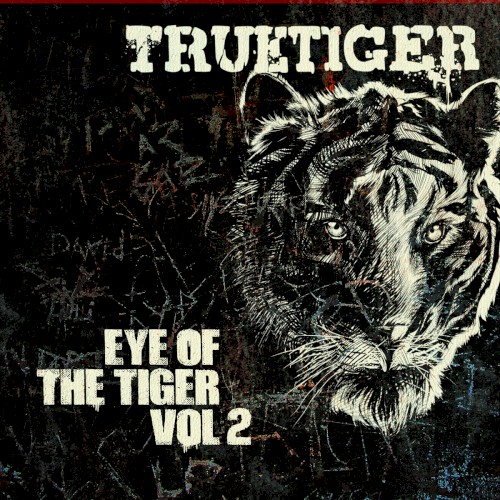 Eye of the Tiger, Volume 2