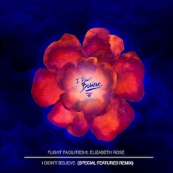 I Didn't Believe (Special Features Remix)