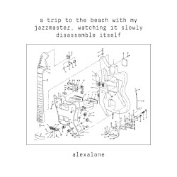 a trip to the beach with my jazzmaster, watching it slowly disassemble itself