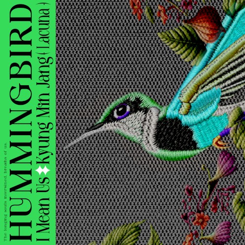 hummingbird