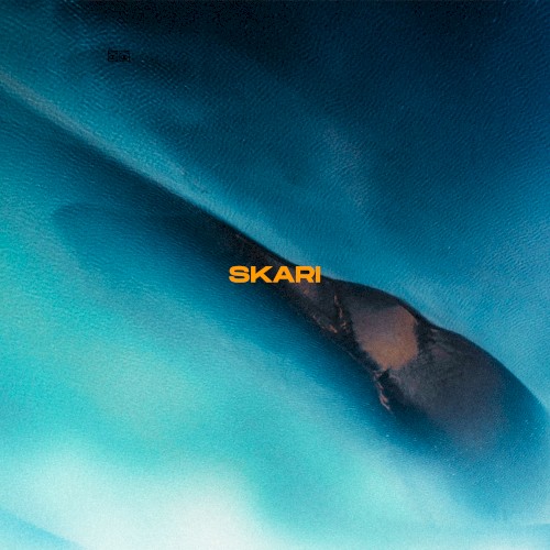 Skari
