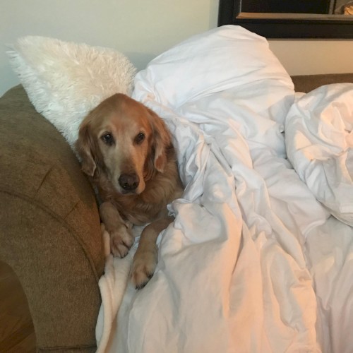 Tears in My Heart