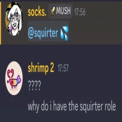 what the fuck is a penis