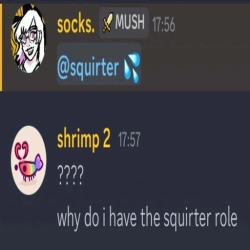 what the fuck is a penis