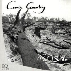 Crow Country