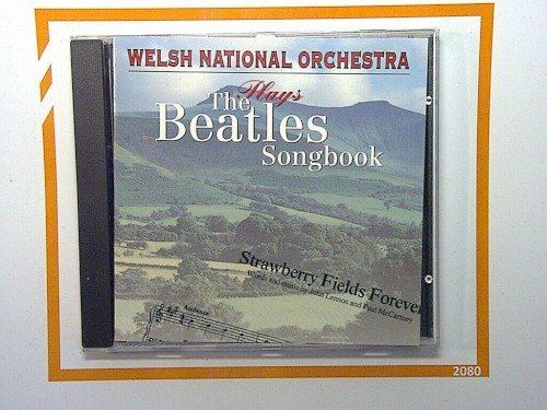 Plays The Beatles Songbook