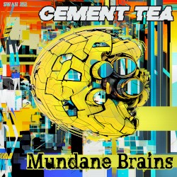Mundane Brains