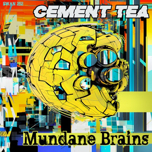 Mundane Brains