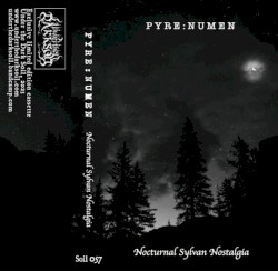 Nocturnal Sylvan Nostalgia