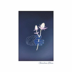 CHARDONS BLEUS