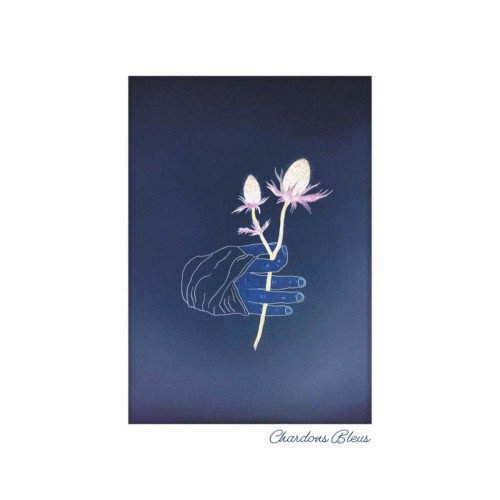 CHARDONS BLEUS