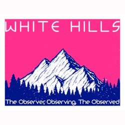 The Observer, Observing, The Observed