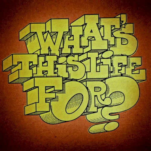 What's This Life For?