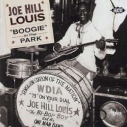 Boogie In The Park
