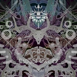 Gatget Owl