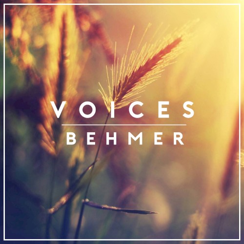 Voices
