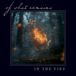 In the Fire