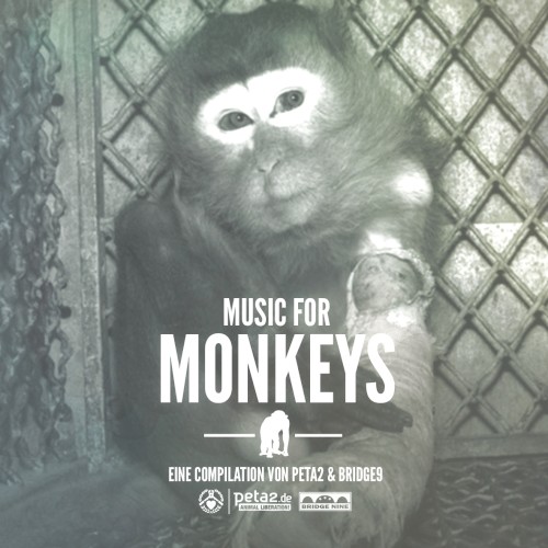Music for Monkeys