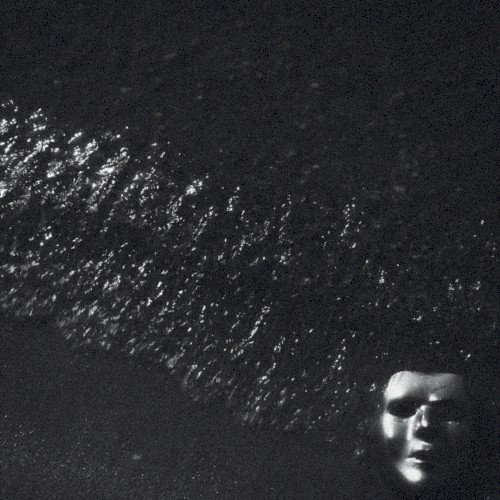 Who Owns The Dark?