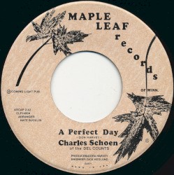 A Perfect Day / Who Cares