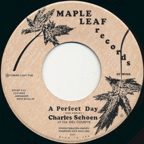 A Perfect Day / Who Cares