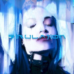 Simulation