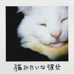 Neko Mitaina Kanojyo - demo