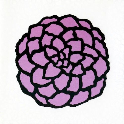 Chrysanthemum