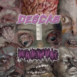 Organ Dismantlement