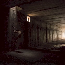 In Praise of Shadows
