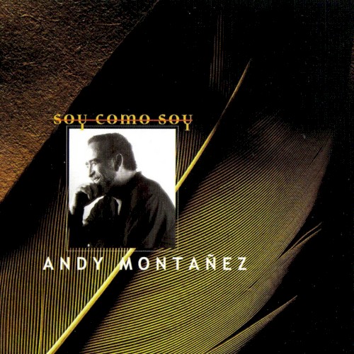 Soy como soy