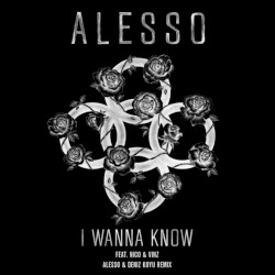 I Wanna Know (Alesso & Deniz Koyu remix)