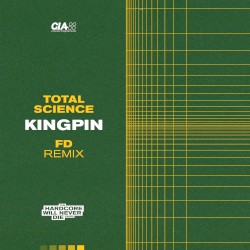 Kingpin (FD remix)