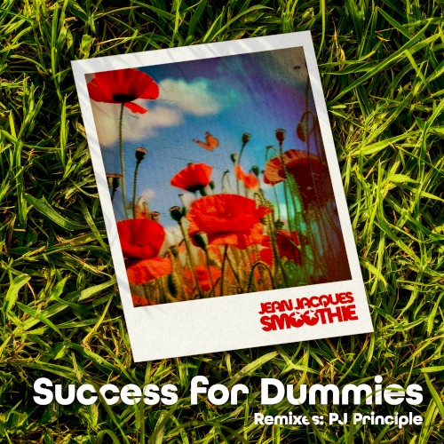 Success for Dummies