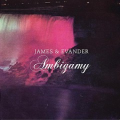 Ambigamy