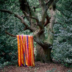 The Animal Spirits
