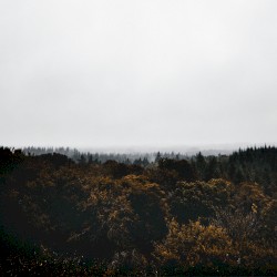 Breath of Wind