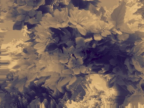 Analog Dreams