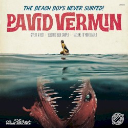 The Beach Boys Never Surfed!