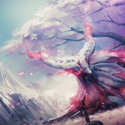 Blossoms