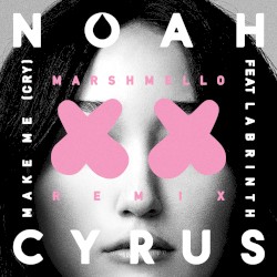 Make Me (Cry) (Marshmello remix)