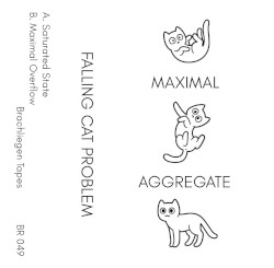 Maximal Aggregate