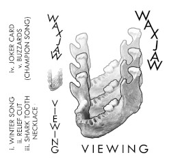Viewing