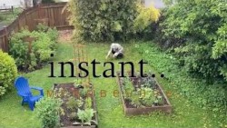 instant..